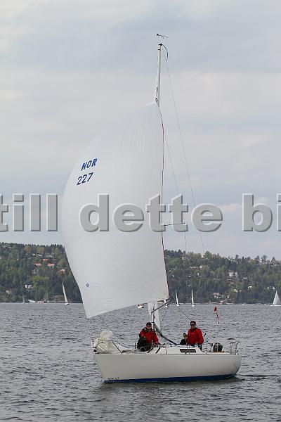 Bundefjorden2012 261.jpg